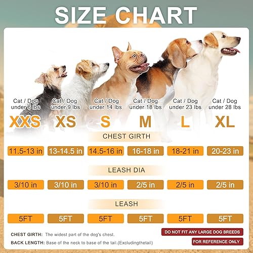 Miniatura 2 de BEAUTYZOO Juego de arnés y correa para perro pequeño, arnés de malla suave reflectante para perros y gatos extra pequeñospequeños, medianos, arnés