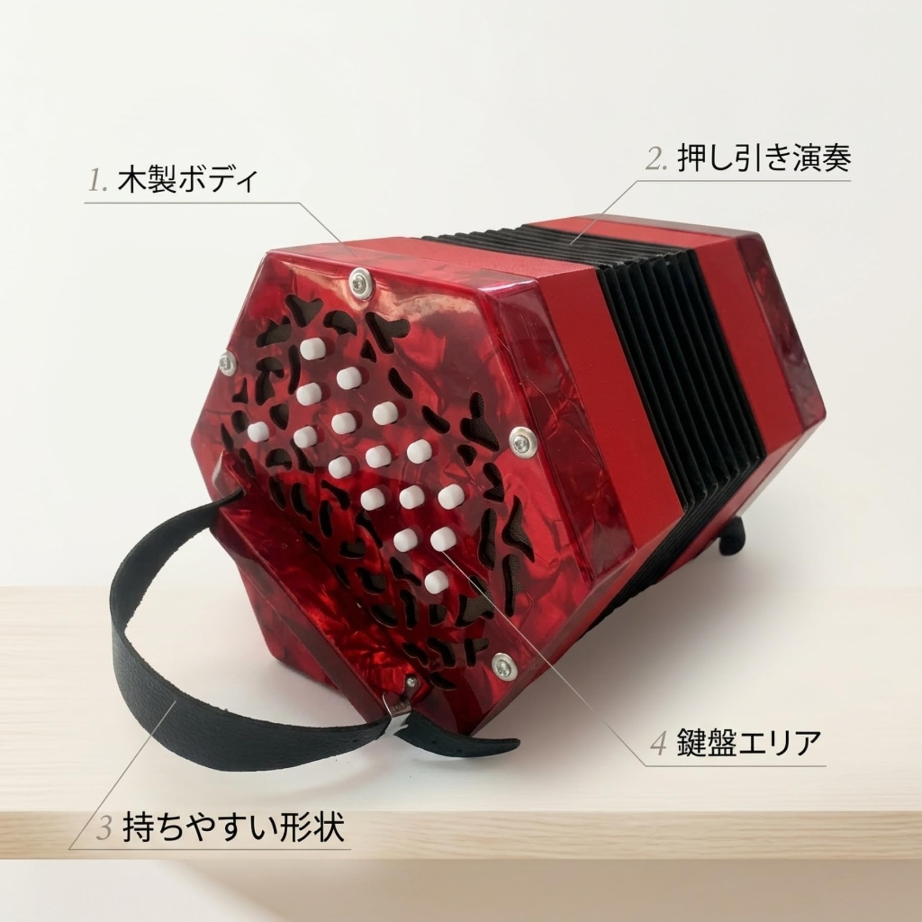 Amazon | TPPTイングリッシュコンサーティーナ 六角手風琴 初心者向け