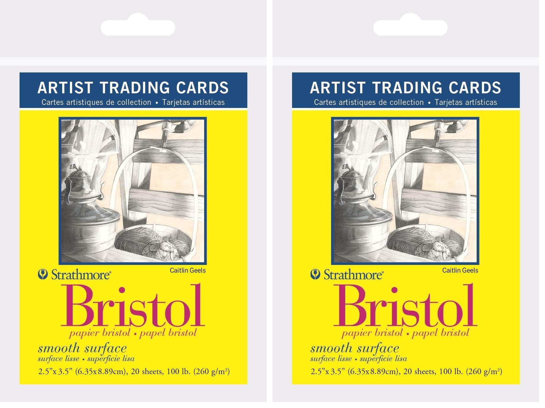 300 Series Bristol Artist - Tarjetas intercambiables, superficie lisa, 20 hojas (paquete de 2)