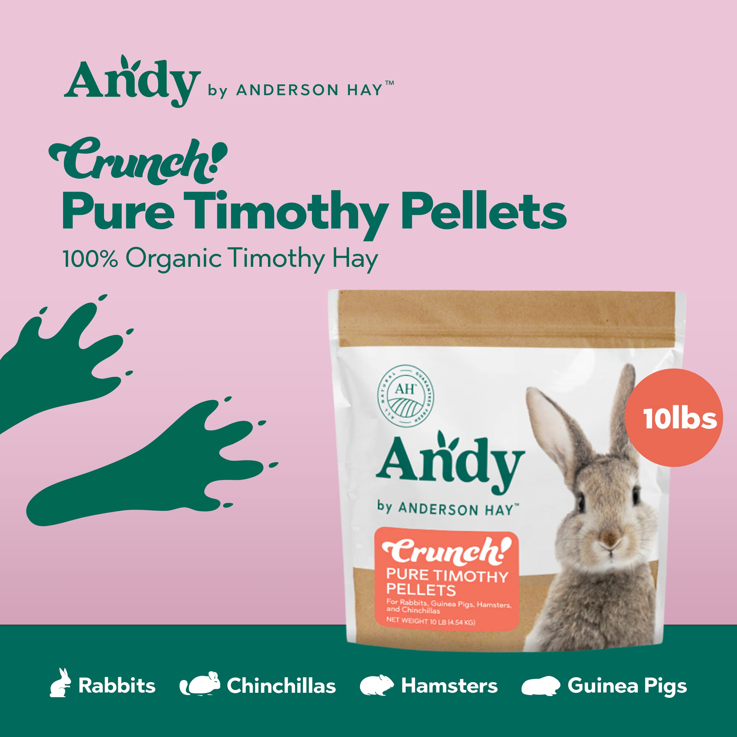 SUNSEED COMPANY 079437 Vita Small Hookbill Formula, 48 Ounce