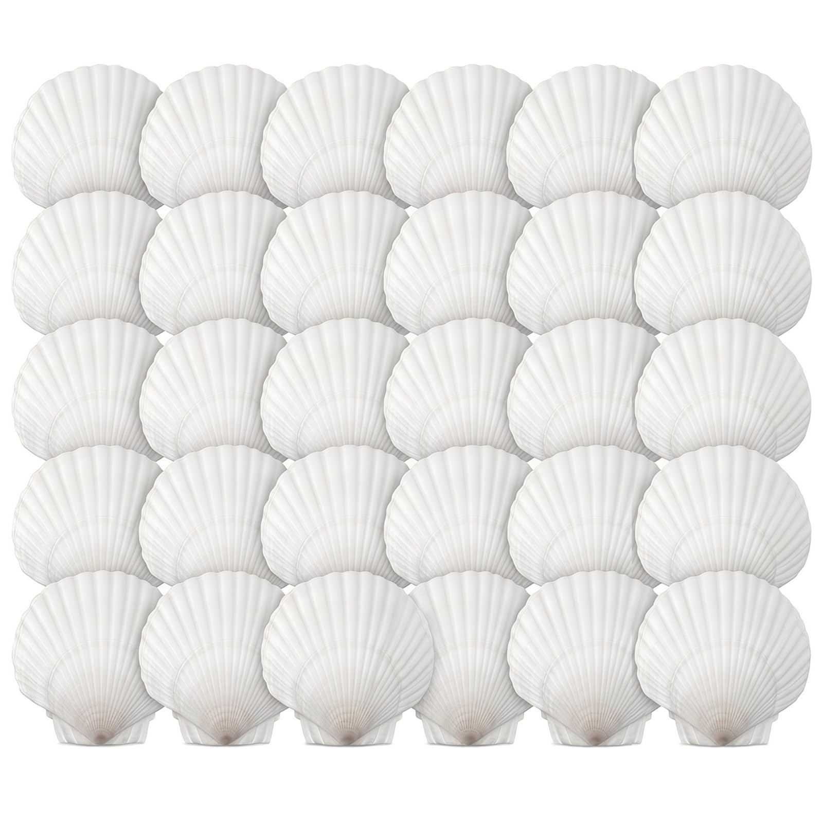 Nureeca 30PCS Natural White Scallop Shells for Crafts, 6-7cm Large Sea Shells for DIY Craft Painting Baking Home Decor, Seashells Bulk for Fish Tank Decorations and Mermaid Accessories