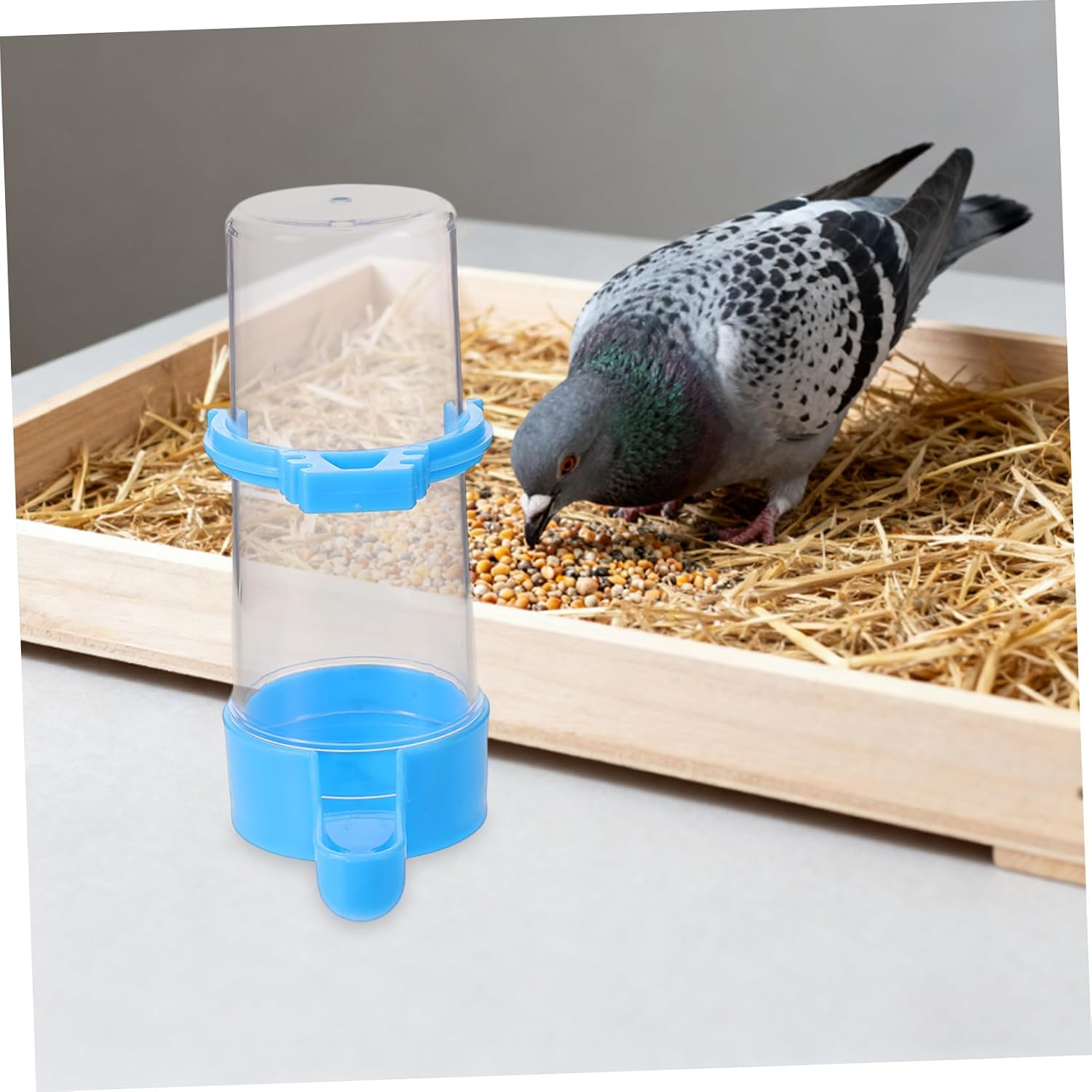 SOLUSTRE Automatic Bird Water Dispenser with Anti-Spill Structure for Cage, 180ml 5pcs Plastic Parrot Water Bottle Suitable for Budgie Finch in Bird Cage