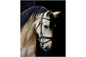 Exquisite Cream Horse Art Print: A Visual Masterpiece for Horse Enthusiasts