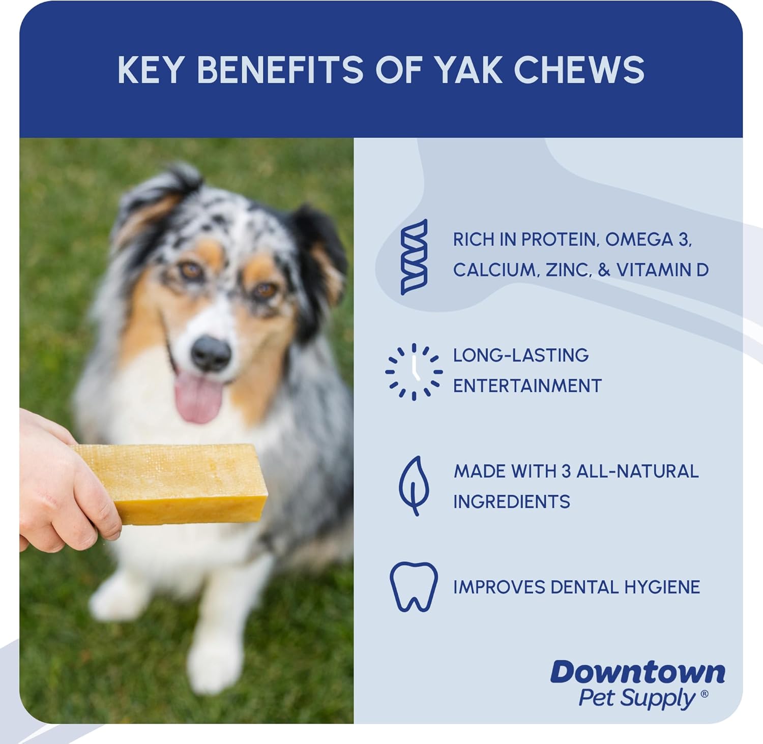 Downtown Pet Supply - Monster Yak Cheese Himalayan Dog Chews & Braided Bully Stick Dog Treats - Dog Dental Care & Plaque Remover for Teeth - Rawhide Free Dog Chews - Zinc, Calcium, Vitamin D - 1pk
