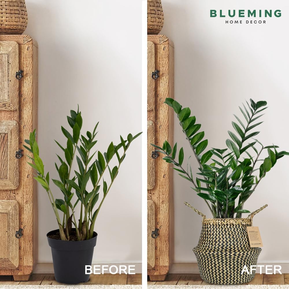 Blueming Home Wicker Plant Basket – Large Seagrass Floor Pot for Faux Olive Tree or Snake Plant, Black Decorative Woven Indoor Planter for 9-10 Inch (Black, Large)