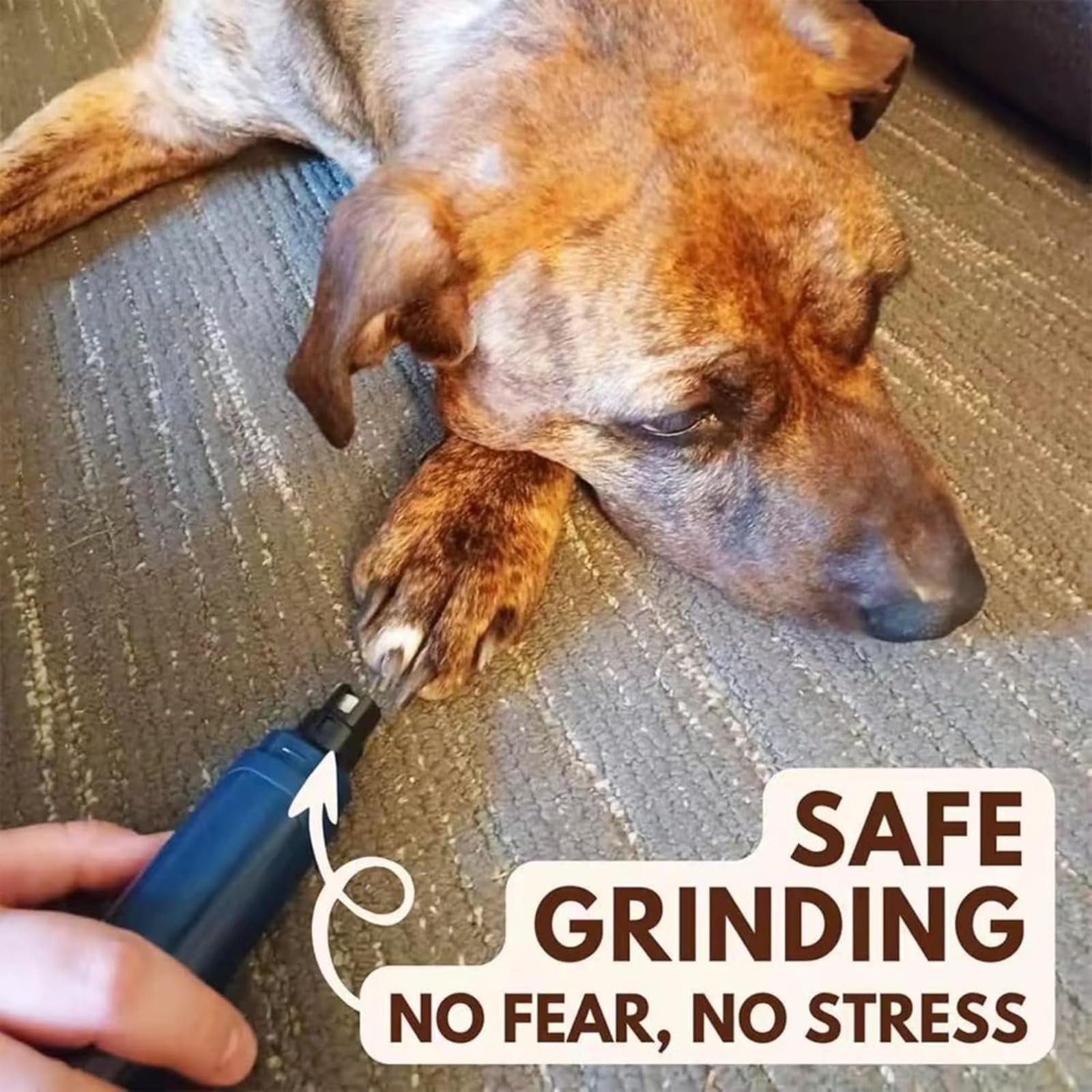 Molinillo de uñas recargable para mascotas, carga USB, bajo ruido, 2 velocidades, luz LED, lima eléctrica de uñas para perros, gatos, mascotas grandes y pequeñas