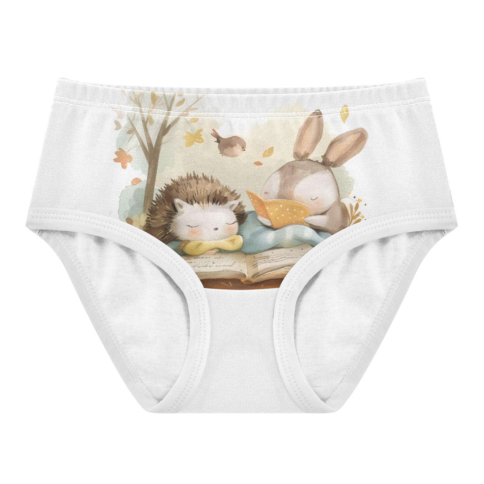 ALAZA Toddler Girls Cotton Hipster Underwear Soft Rabbit Hedgehog 2 Pack 2T