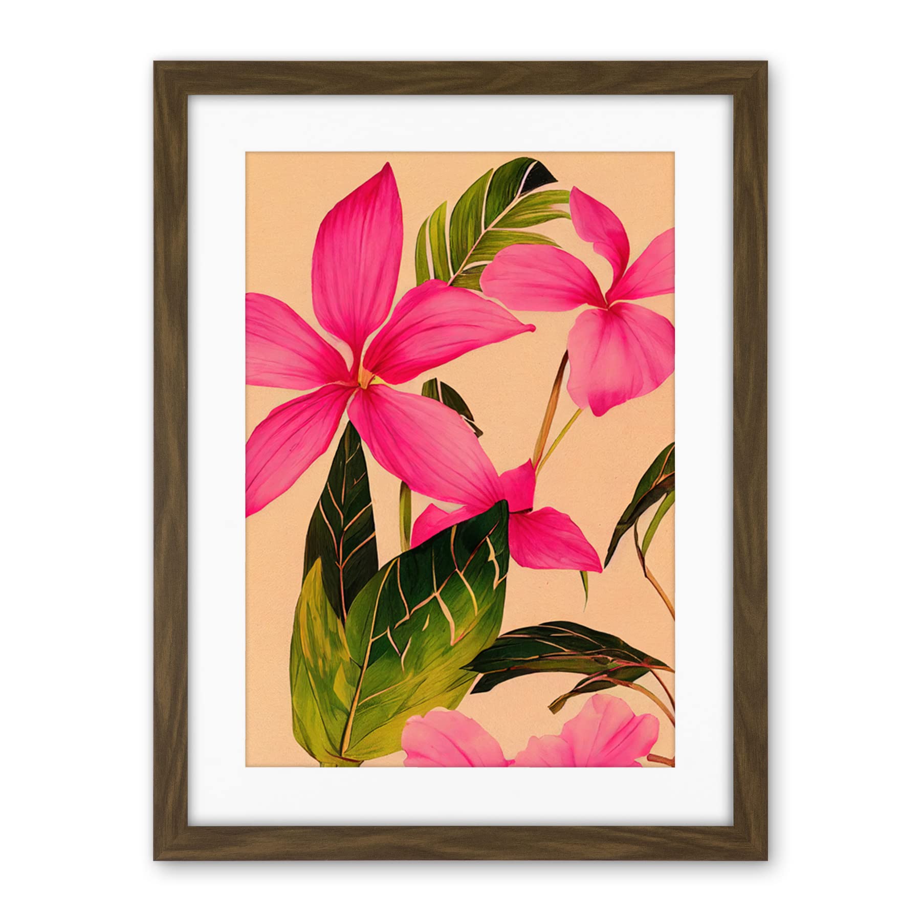 Wee Blue Coo Exotic Pink Plumeria Flower Plant Blooms Watercolour Pencil Illustration Artwork Framed Wall Art Print 18X24 Inch