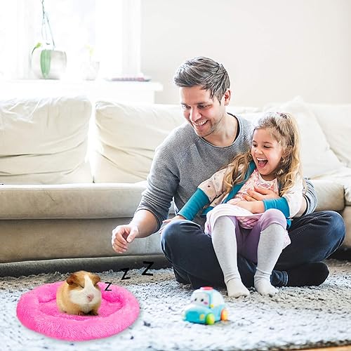 Miniatura 18 de FEBSNOW Camas de conejillo de indias, cama de hámster para hámster, erizo, ardilla, tortuga, lagarto y otros animales pequeños Azul