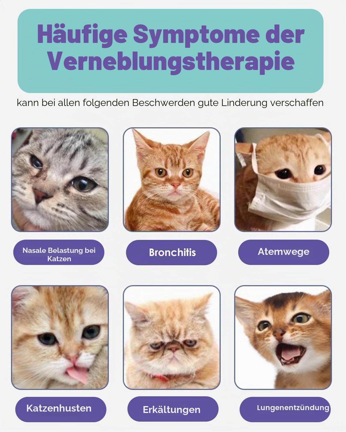Haustier Sauerstoff Inhalation Box Transparente Sauerstoff-Inhalationsbox für Welpen, Kätzchen, Hamster, Welpen, Husten, Atmen, Brutkasten, Aufzuchtnest mit Rädern, Zerstäubungs-Sprühkammer(S)