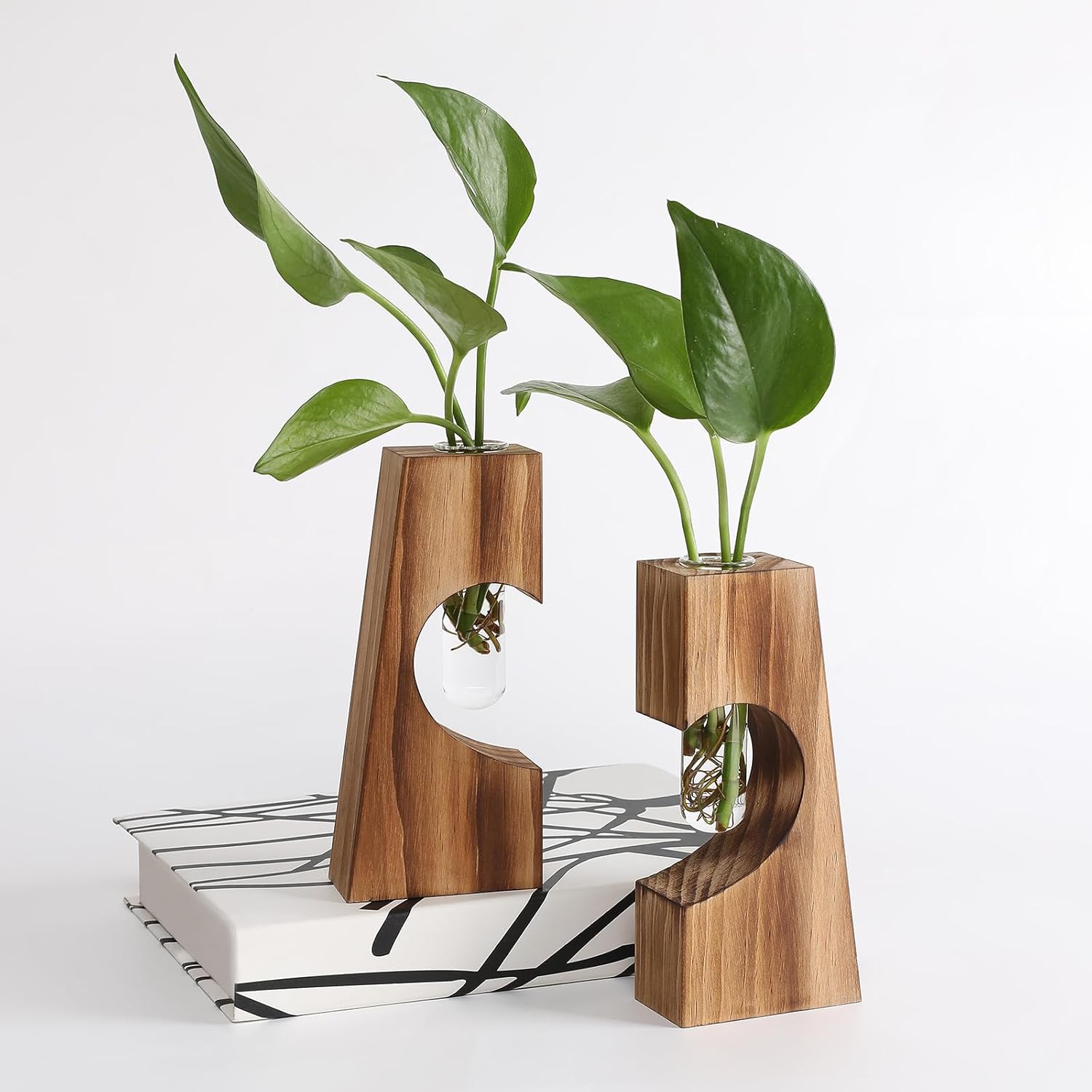 Glass Plant Proragation Station for Hydroponics, Wooden Heart Shaped Base with Double Test Tube,Home and Office Desktop Decor - Image 5