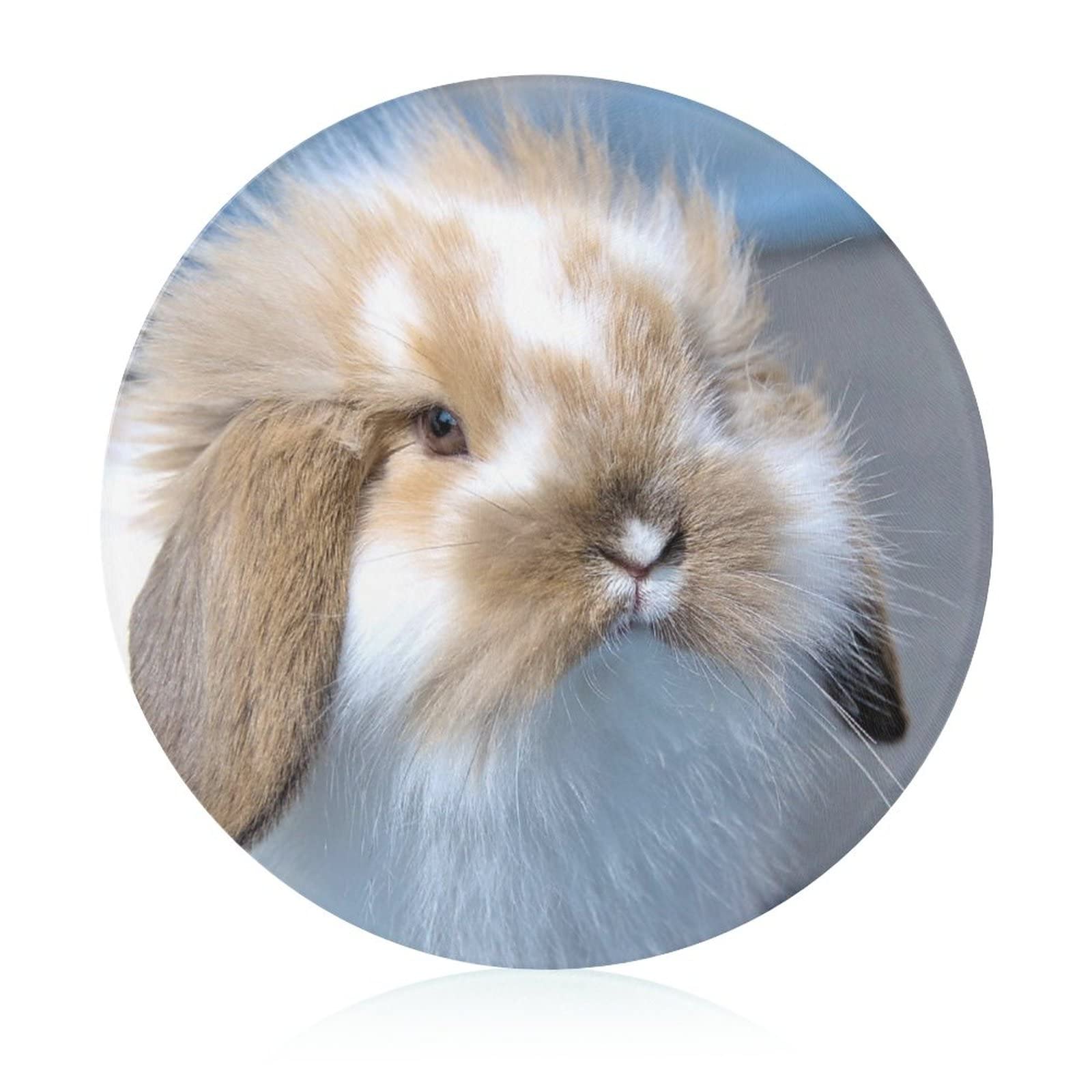 Planche à découper de cuisine Gros Lapin 20 cm pour couper légumes et viande