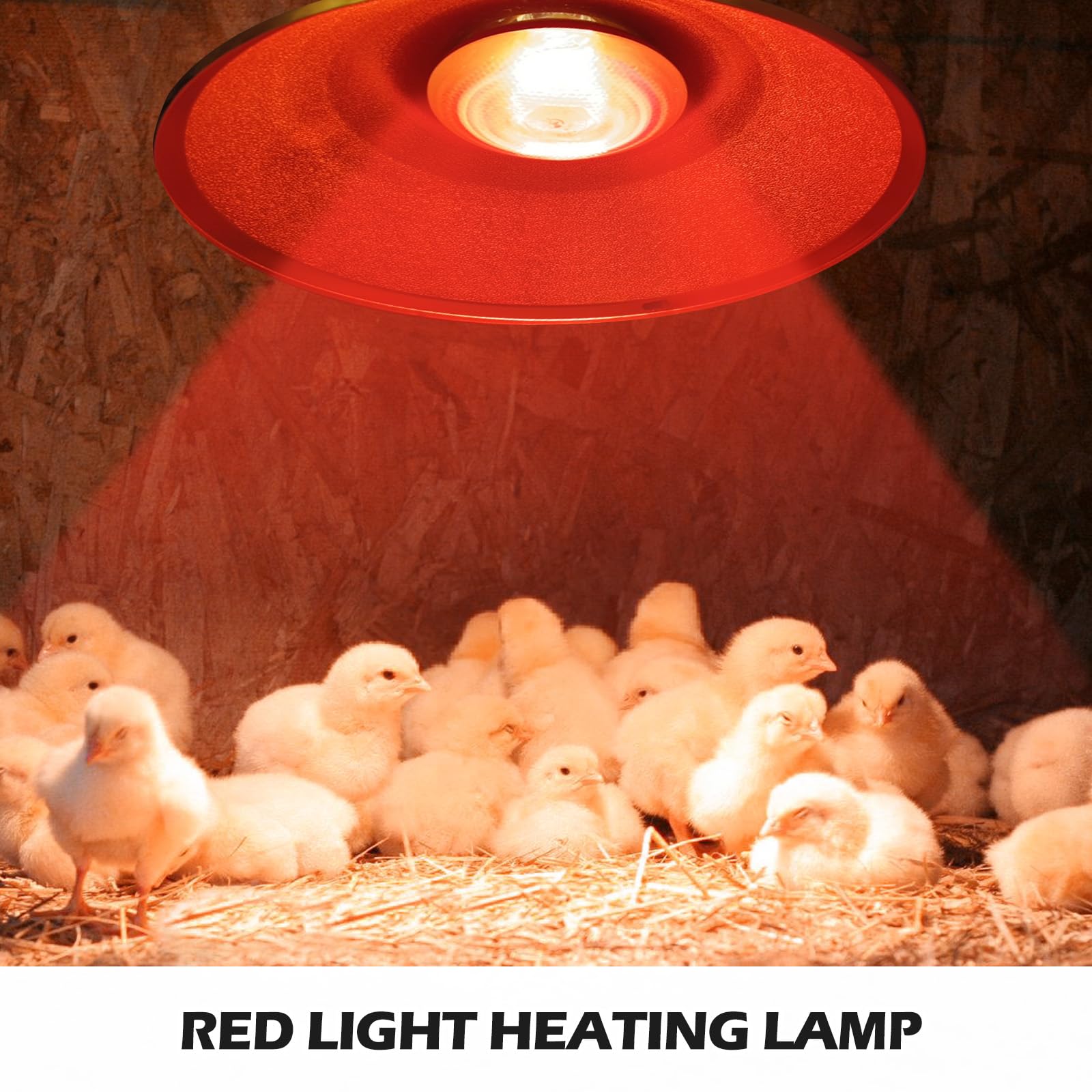 Lampe Chauffante à Lumière Rouge, 175 W Chauffant Poussin