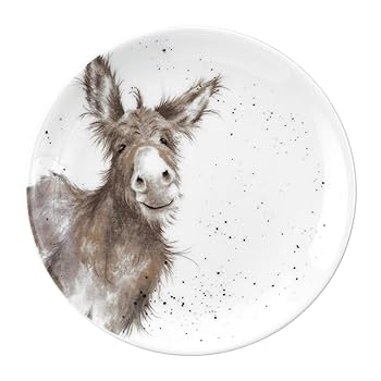 Amazon.com | RW Royal Worcester Wrendale Designs China Tea