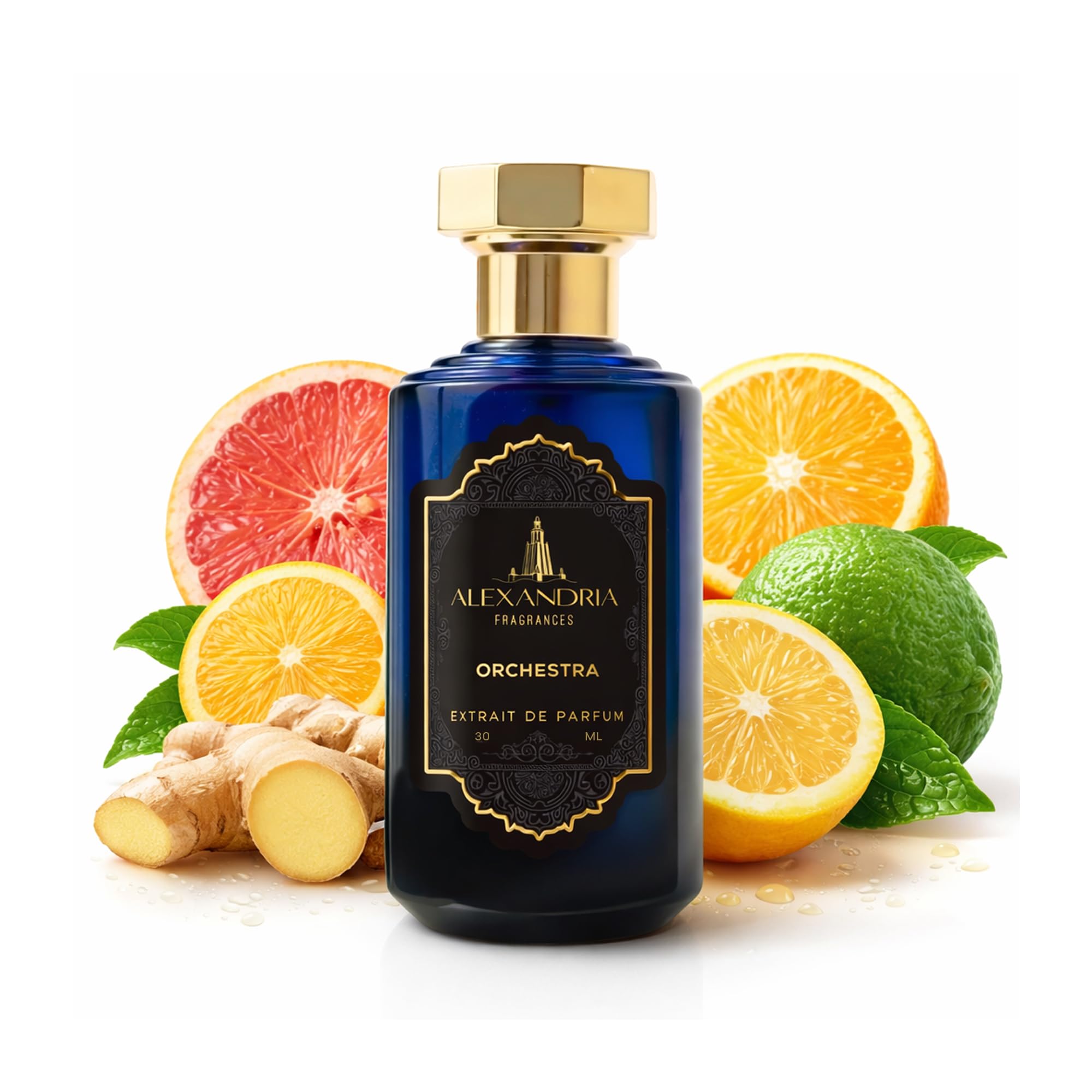 Amazon.com : Alexandria Fragrances Orchestra Perfume - Premium