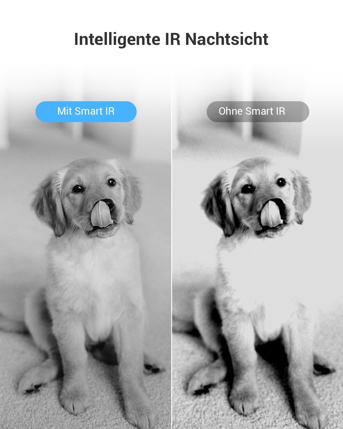 EZVIZ 1080P WLAN IP Kamera, schwenkbare Überwachungskamera Innen mit Zwei-Wege-Audio, Bewegungsverfolgung, IR Nachtsicht für Haustier, Hunde, Babyphone kompatibel mit Alexa, C6N