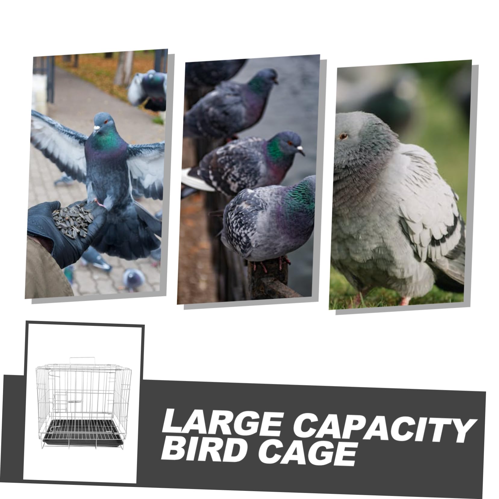 Jaula De Cría para De Gran Capacidad Jaula De Acero Inoxidable para Cría De para Apareamiento para Pájaros Amplio