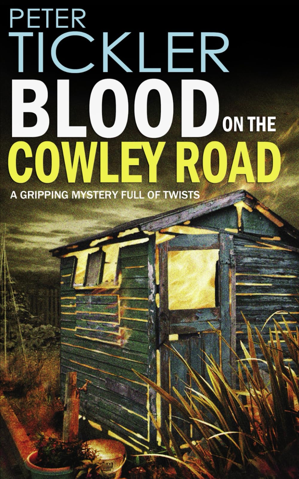 BLOOD ON THE COWLEY ROAD a gripping mystery full of twists (Detective Susan Holden)