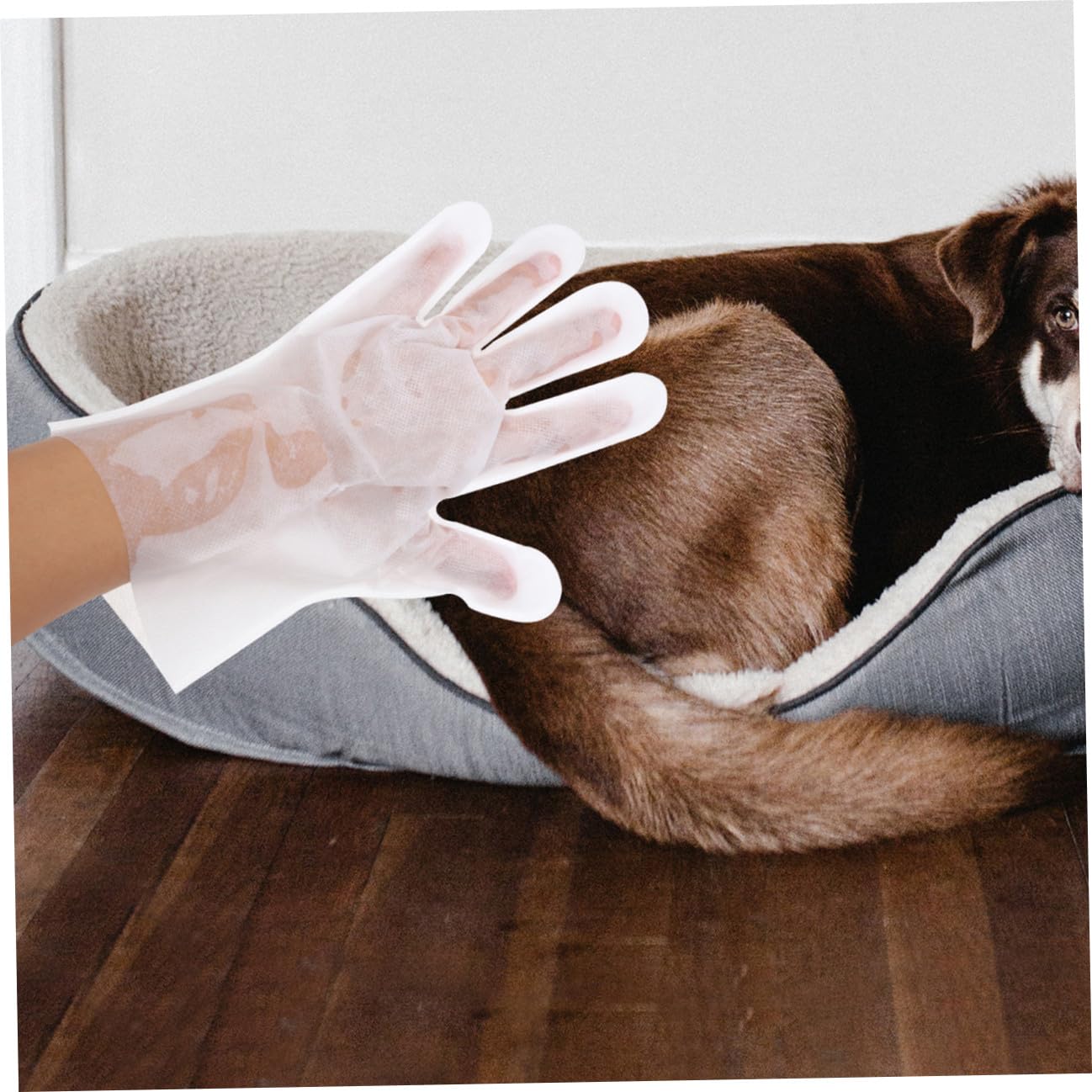 FOMIYES 18 Piezas Guantes toallitas Desechables para Mascotas Guante Cepillo para Gatos toallita para Cachorros toallitas de baño para Gatos el Gato toallitas húmedas limpiando Suministros