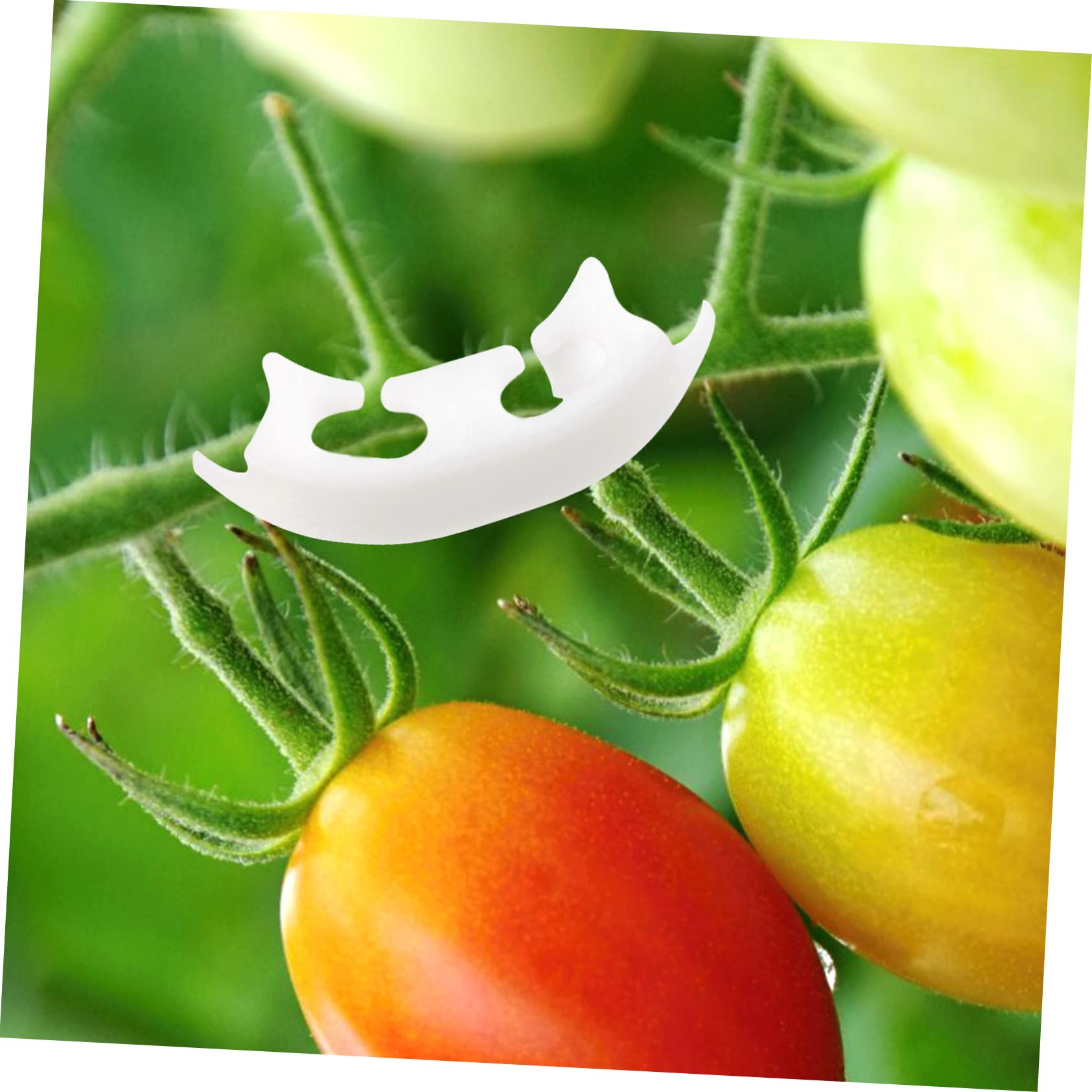 BESTonZON 4 Sätze Tomatenclip Clips Einsätze Drinnen Gemüseklammern Einsatz Anlage Pflanzen Tomatengartenclip Kunststoffklammern Für Den Garten Clip Für Gemüse Plastik Weiß 100 Stück * 4