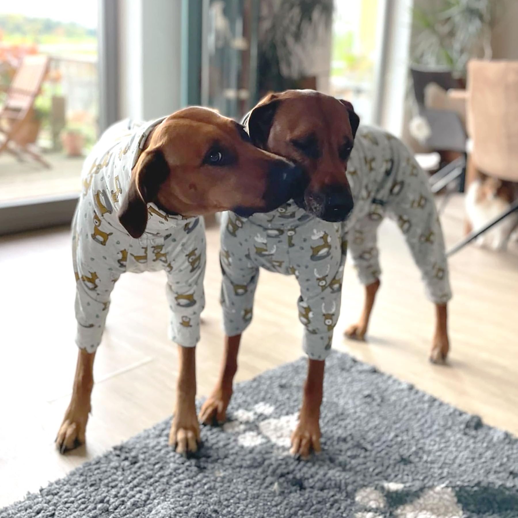 EDEL&SCHNELL Pull pour chien gris en coton douillet avec motif de cerf - Pyjama pour chien avec fermeture éclair - Body pour lévrier - Taille 40-45