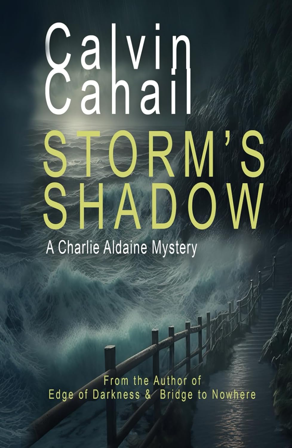 Storm's Shadow (The Charlie Aldaine Mystery Series)      Hardcover – April 2, 2024