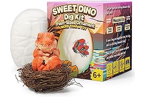 A Dinosaur Egg Dig Kit for Kids