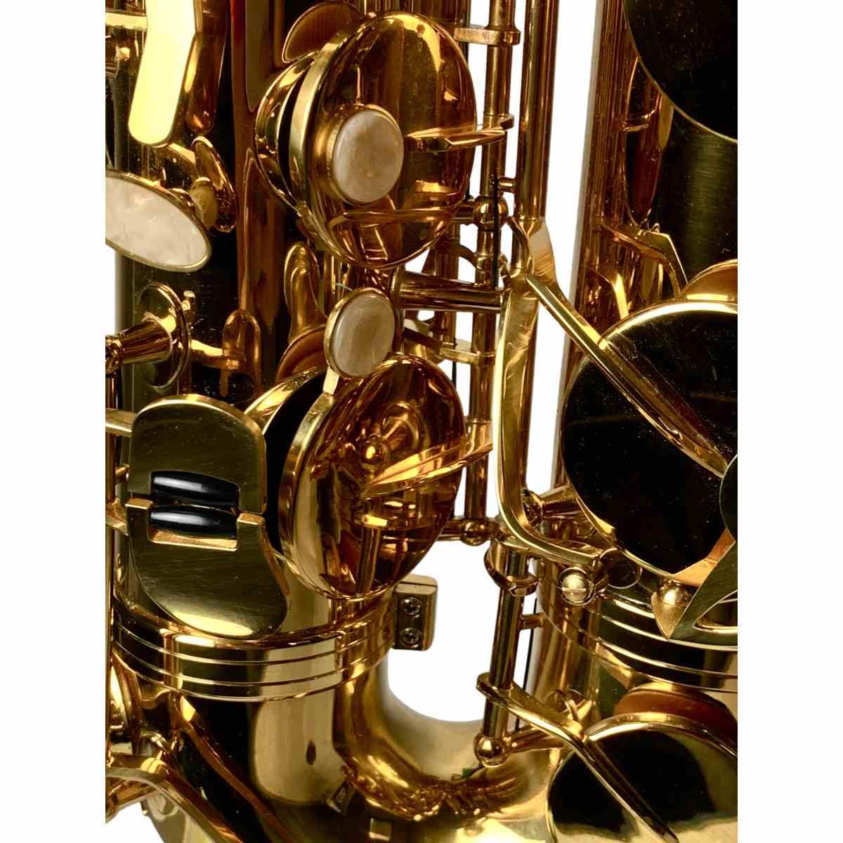 TS-ST Sax Tenore Serie Studio completo di Custodia e Accessori