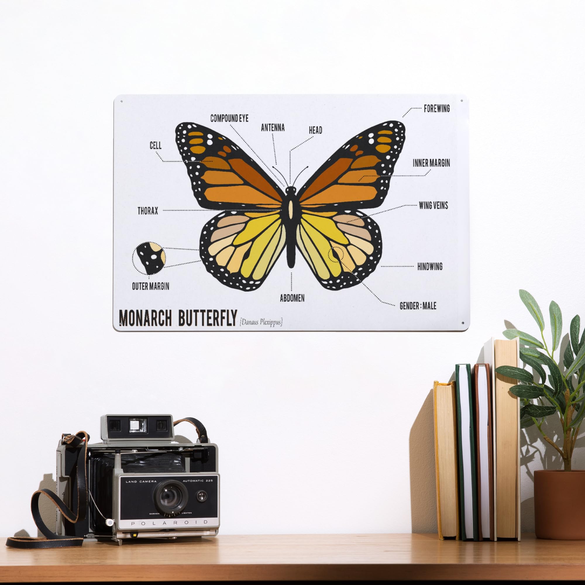 Amazon.com: Lantern Press 12x18 英吋(約30.8 x 18 公分)金屬標誌