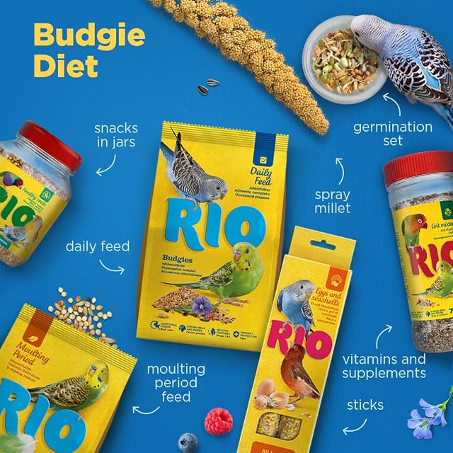 Foto 5 de 7 de Budgies