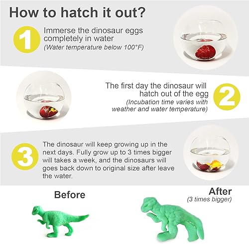 Miniatura 3 de Huevo de dinosaurio para incubar, 24 unidades, tamaño grande, para crecer en grietas de agua con colores surtidos para eclosionar, juego de caza de