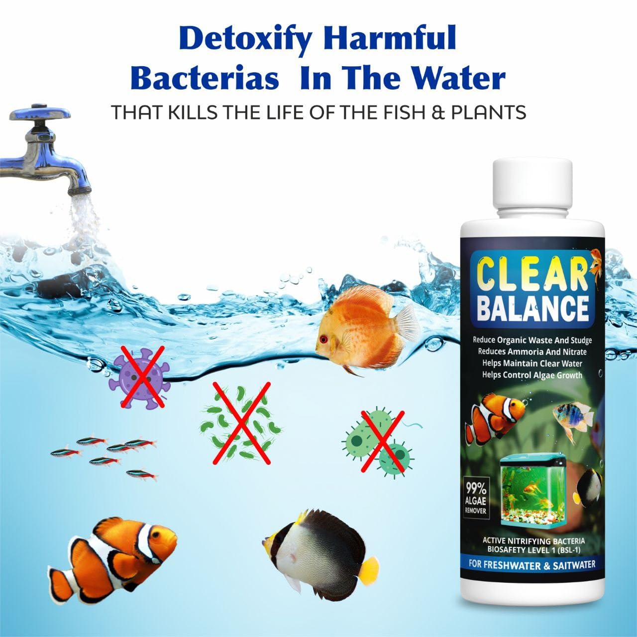 Scentora Clear Balance Water Purifier Algae Remover, Moss Remover, Aquarium and Fish Tank Cleaner, 100% Fish Safe Aquarium Tank Biological Water Purifier Agent (200ml Each) (200ml) 4