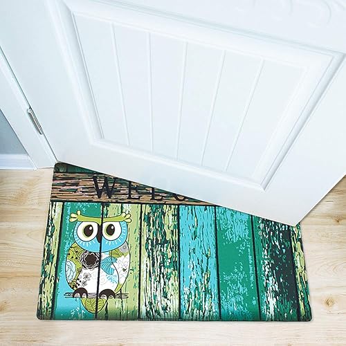 Miniatura 6 de Felpudo de bienvenida para puerta delantera, parte trasera de goma, antideslizante, tapete de entrada, rascador de zapatos, 17 x 29 pulgadas,