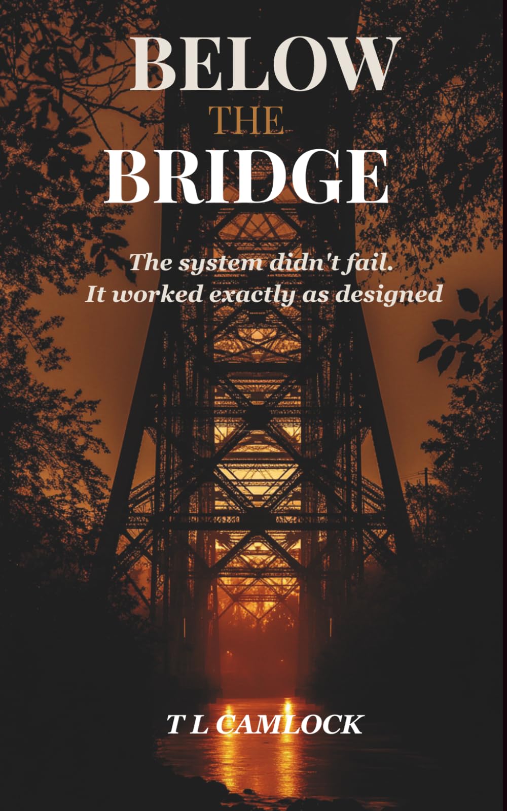 Below the Bridge: The system didn't fail. It worked exactly as designed.