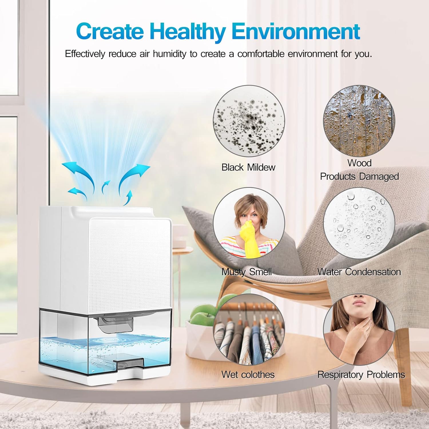 Foto del Deshumidificador