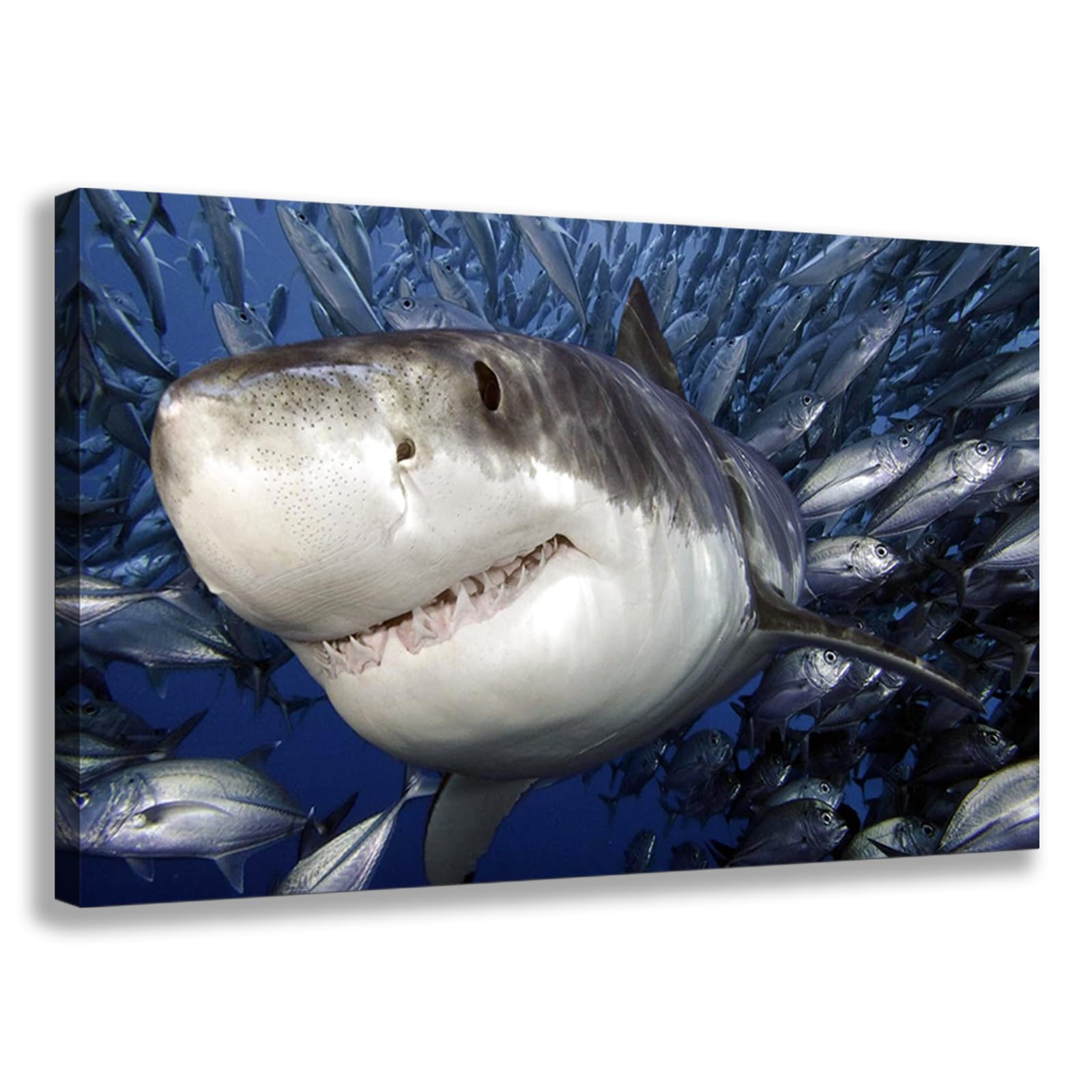 Amazon.co.jp: KLVOS ブルーオーシャン ウォールアート グレート