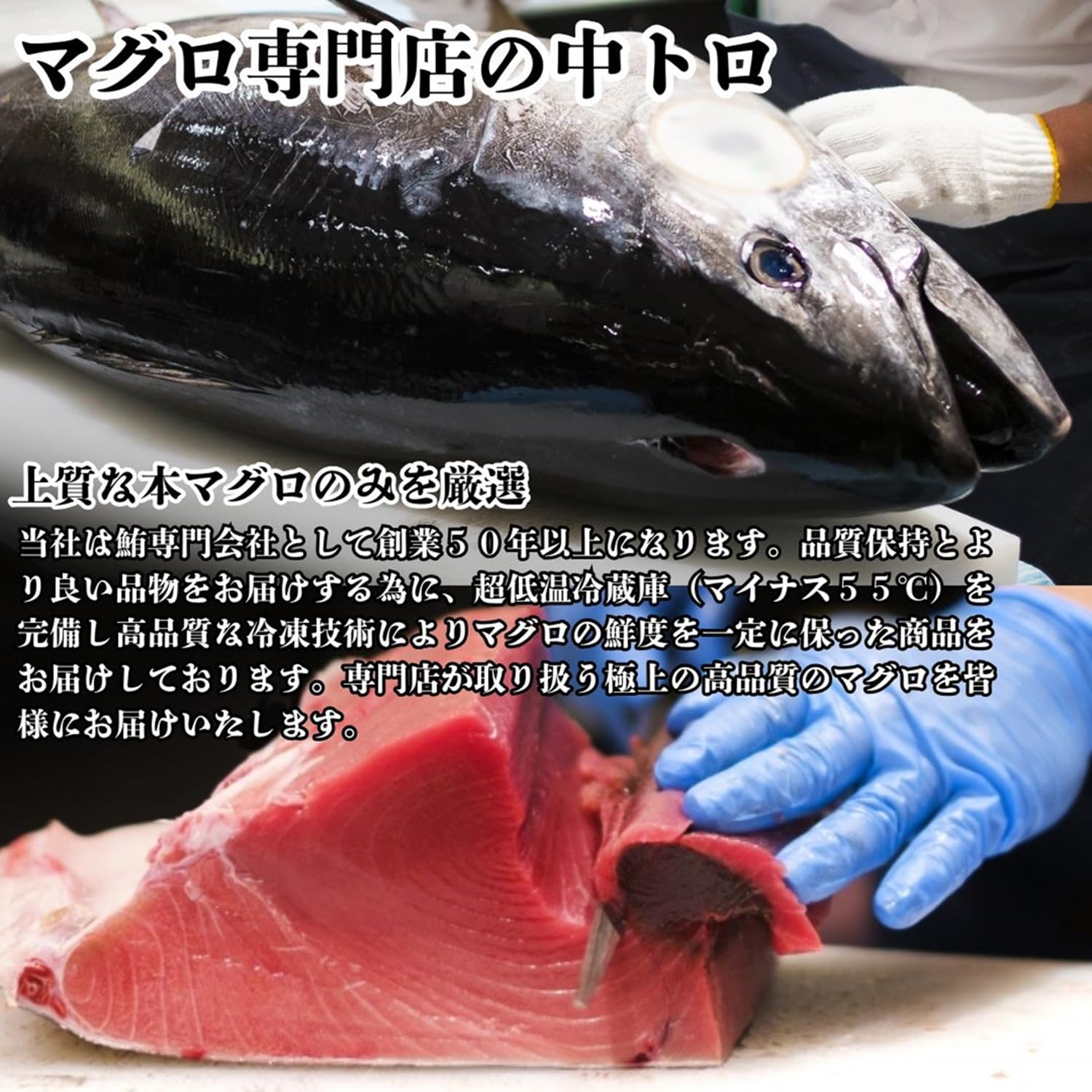 中トロページ① ichijyo_10002548