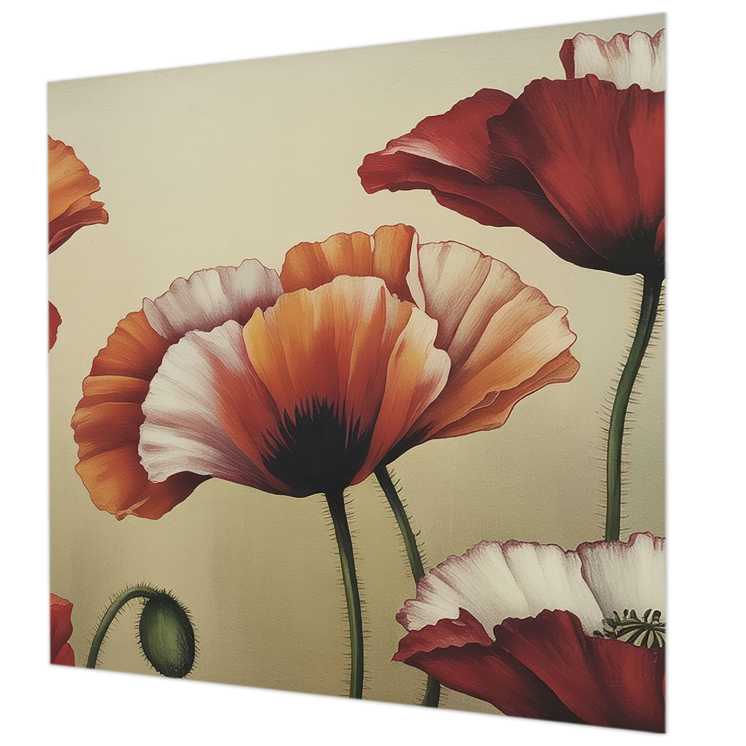 Tapisserie intissée 250x250 cm Coquelicots joyeux salon