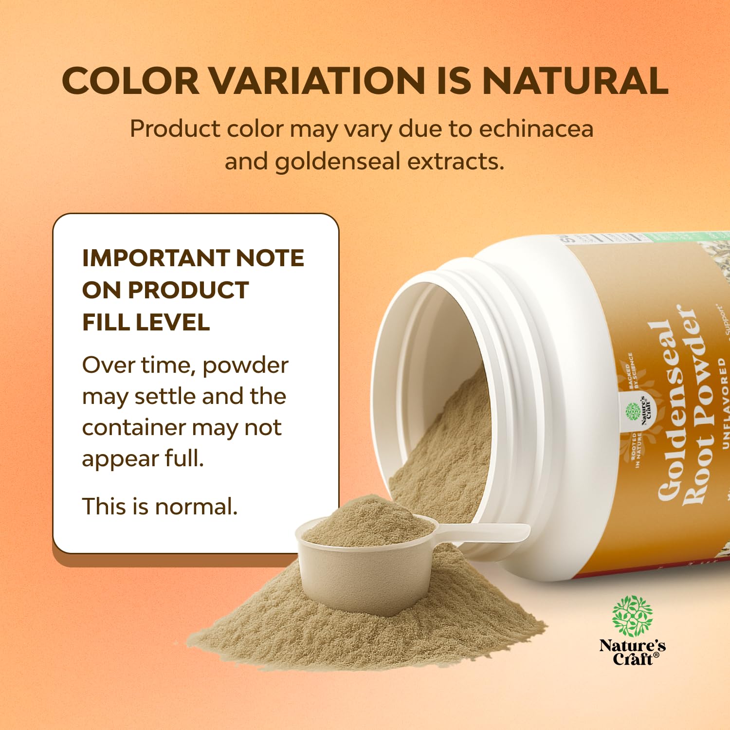 Goldenseal Root and Echinacea Powder - Premium Herbal Blend for Immune Support - USA Manufactured - Promotes Digestive Health - Mix Easily in Teas, Smoothies & Recipes - 80 grams - 1 Pack — Amazon image 2