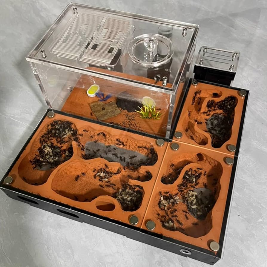 MTFZD Ant Nest Escalable Hormiguero Hormiga Nido Granja Villa Ant Nest AntHouse Kit Casa Granja