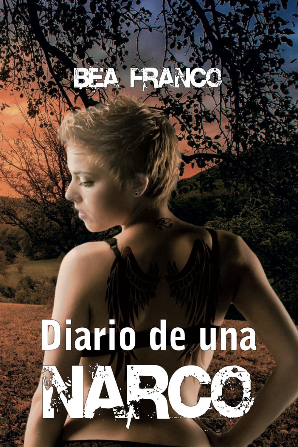Diario de una narco