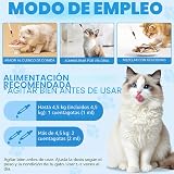 Ver la foto 2