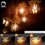 LUXON LED Ampoules d'Edison, dimmables,4Watt(Équivalent 40W),2700K Blanc chaud,ST64 Ampoules de style vintage Amber,E26 Base,CRI 90+,Boîte de 4