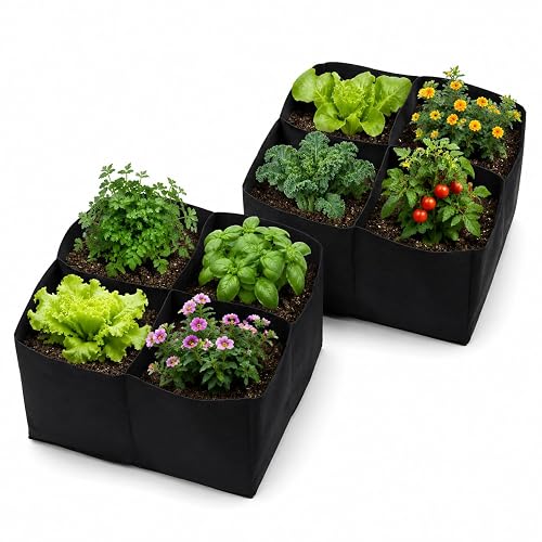 Gardzen 2 Pack Fabric Raised Garden Beds | 2x2x1FT, 4