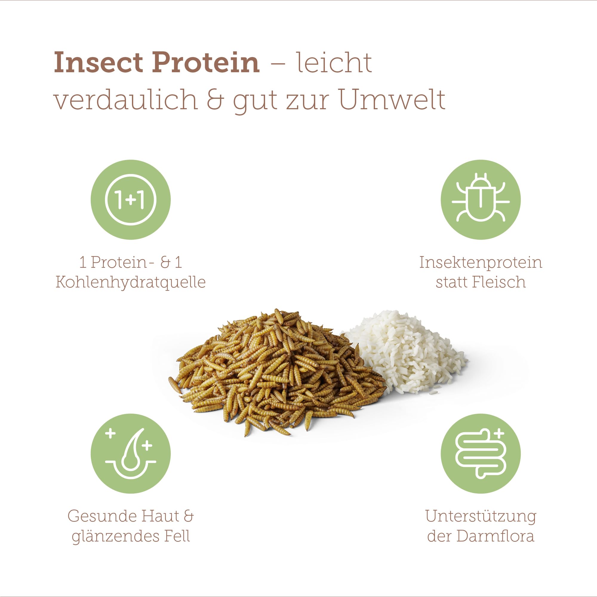 MERA Pure Sensitive Insect Protein Comida para Perros, alimento seco con proteína de Insectos para Perros sensibles, hipoalergénico y Respetuoso con el Medio Ambiente (12,5 kg)