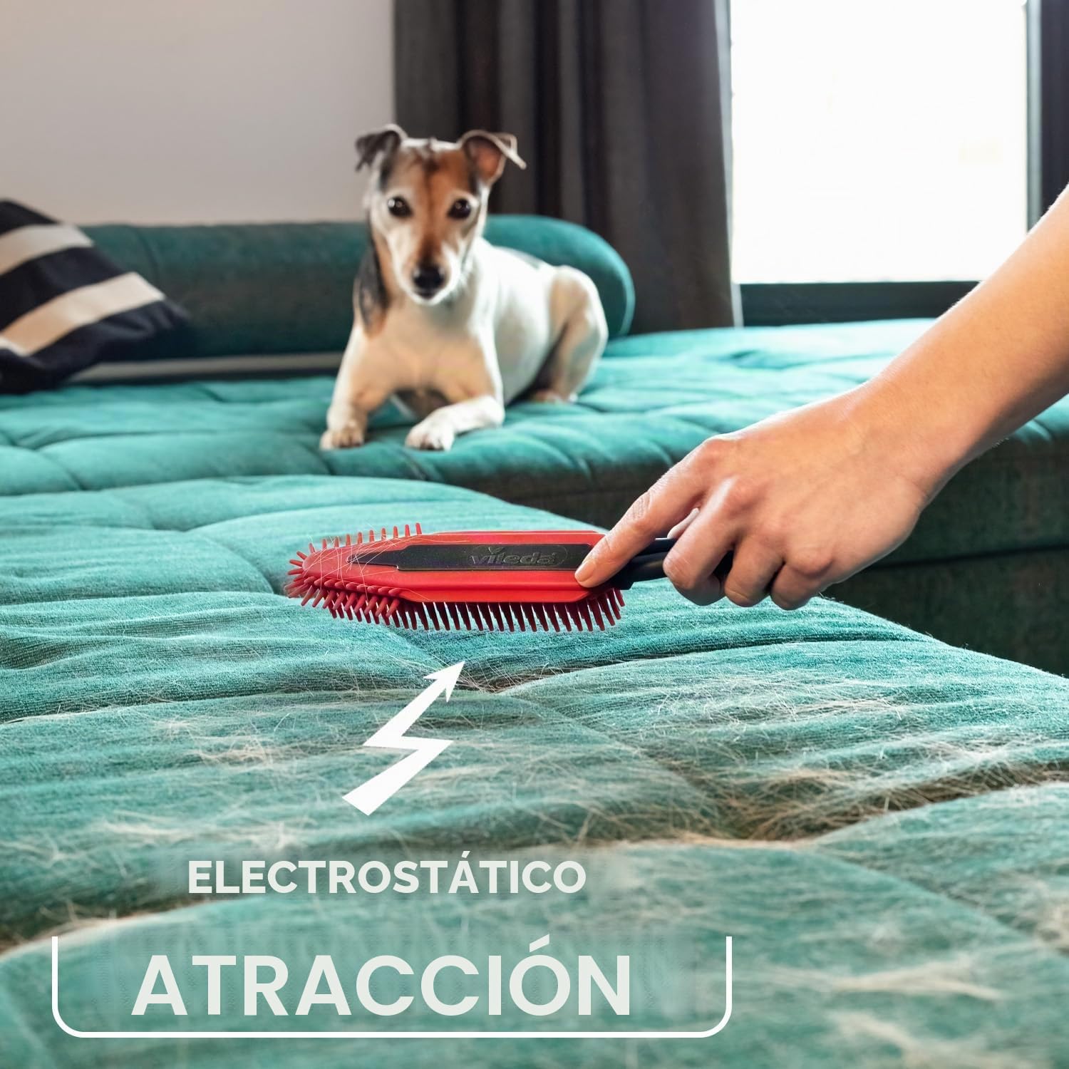 Vileda Pet Pro - Juego completo de escoba Always Clean, cepillo electrostático y toalla de microfibra XL, limpieza de pelo de mascotas, secado para cualquier superficie