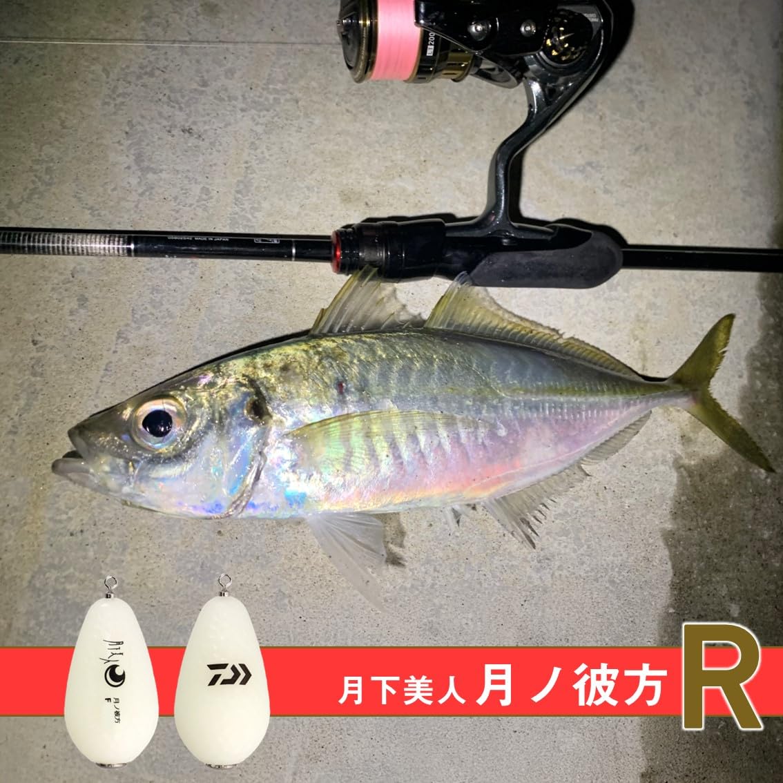 Amazon | ダイワ(DAIWA) 遠投用フロート 月下美人 月ノ彼方R F LL