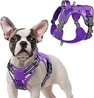 Vista 12 de rabbitgoo - Arnés táctico para perros grandes, chaleco de servicio militar sin tirones con asa y equipo Molle, fácil control para entrenar