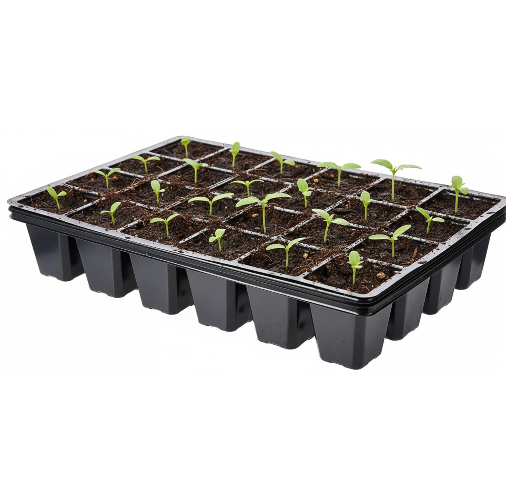 Nutley's Black 24 Cells Plastic Seed Tray Cavity Insert - Pack Of 6