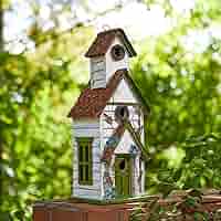 ワンダーHOUSE 71m3biAOn8L._AC_SY200_QL15_.jpg